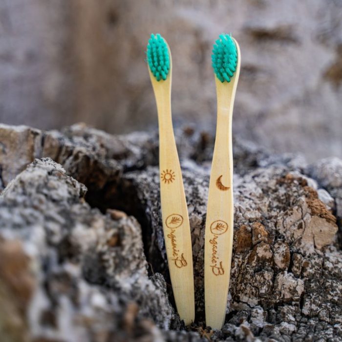 Organic B's Neem Wood Organic Toothbrush for Kids
